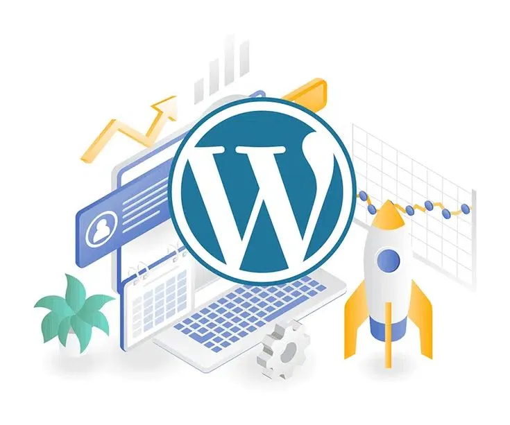 WordPress website cost chart showing DIY